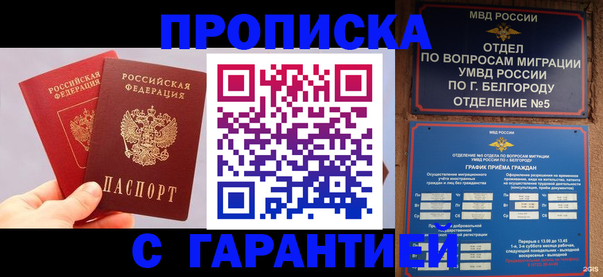 прописка 2025 в Краснознаменске